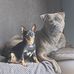 Alison Squire - Facebook