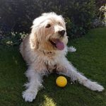 Alison Squire - @doodlesndaisys - Instagram