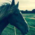 Alison Stacey - @forget_me_not_memorials - Instagram