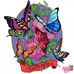 Alison Stacey - Facebook