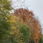 Alison Stacey - @alison.stacey.33 - Instagram