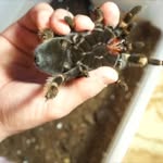 AlisonStrong - @alisonstrong57 - Instagram