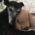 Alison Sutton - Facebook