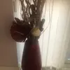 Alison Tam - @lydia4567.0 - TikTok