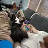 Allison Thayer - @allison.thayer7 - TikTok