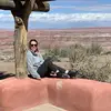 Allison Thayer - @allisonthayer - TikTok