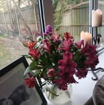 Alyson Tillett - Facebook