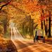 Alison Timm - Facebook