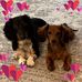 Alison Ann - Facebook