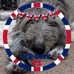 Alison Timmis - @alisontimmis - Instagram