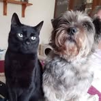 Alison Trainer - Facebook