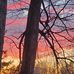 Alison Troy - Facebook