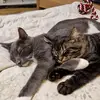 Alison Waters - @alison.waters38 - TikTok