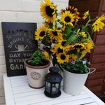 Alison Waters - @althecraftygardener - Instagram