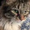 Alison Waters - @alison.waters30 - TikTok