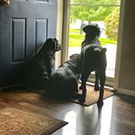 Alison Weber - @gotalab3 - Instagram