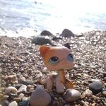 alison_weinberg - @alison_wein - Instagram