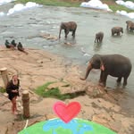 Alison Willis - @alison3651 - Instagram