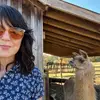 Alison Willis Glynn - @alimogator - TikTok