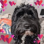 Alison Wray - @alison2429 - Instagram