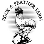 Alison York - @rockandfeatherfarm - Instagram