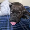 Alyssa Barker - @alyssa.barker8 - TikTok