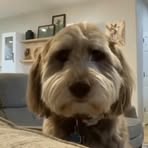 Alissa Decker - Facebook