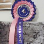 alissa fleming - @horse_lover_alissa - Instagram