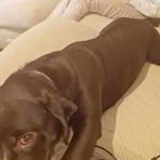 Alicia Mitchell - Facebook