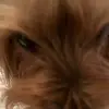 ☝️🤓 - @alissapaul2 - TikTok