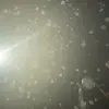 Alissa pope - @a_and_j42073 - TikTok