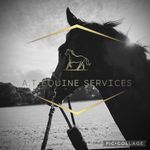 Alissa Tyler - @a.t_equineservices - Instagram
