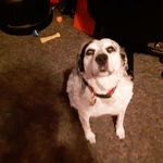 Alistair Blakeslee - @alistair_blakeslee - Instagram
