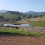 Alistair Blake - @lakeviewgrazing_co - Instagram