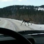 Alistair Davis - @fountains.of.alistair - Instagram