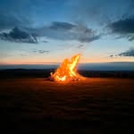 Alistair Davis - @logmandavis - Instagram