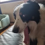 Alistair Hill - @alistair.hill789 - Instagram