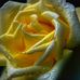 Alistair Hunt Photoghraphy - Facebook