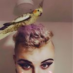 Alistair Johnston - @ali_colliar_21 - Instagram