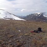 Alistair Johnston - @alistairsjohnston - Instagram