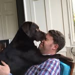 Alistair Robertson - @alistair.robertson.5074 - Instagram