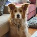 Alistair Robertson - Facebook