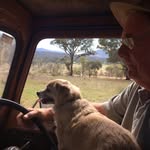 Alistair Robinson - @alistaironthefarm - Instagram