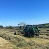 Alistair Robinson 🚜🐄 - @alistair_robinson - TikTok