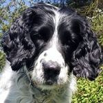 Alistair Ross - @albacontrols - Instagram