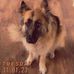 Alistair Thomson - Facebook