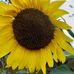 Alistair Thomson - Facebook