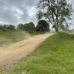Alistair Williams - @alistair_williams_02 - Instagram
