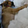 I don't care - @alivia.miller29 - TikTok