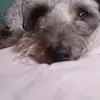Alix Castro - @alix.castro0 - TikTok